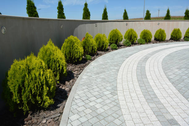 Best Driveway Repair Near Me  in Severna Park, MD